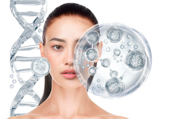 Understanding Collagen Types: Bovine vs Marine and How to Choose the Right One