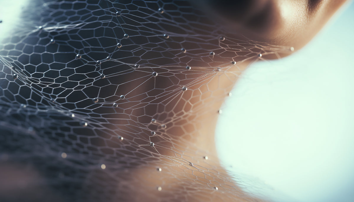 The Gut–Skin Connection: What the Evidence Actually Shows
