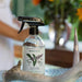 Koala Eco Glass Cleaner Peppermint 500ml product image 2