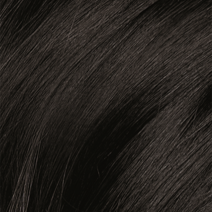 NaturTint 1N Ebony Black 170ml