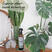 Tri Nature Hyaline Glass & Window Cleaner 500ml additional product image 2