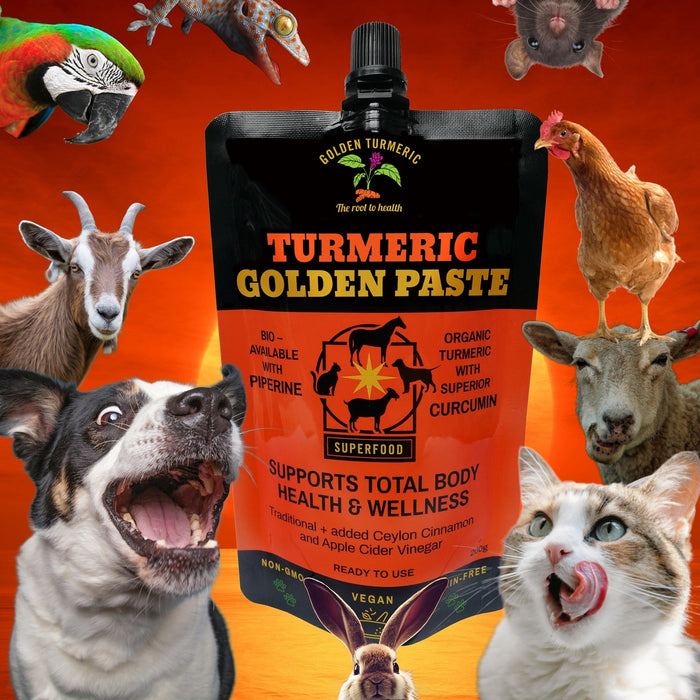 Golden Turmeric Golden Paste for Pets 200g
