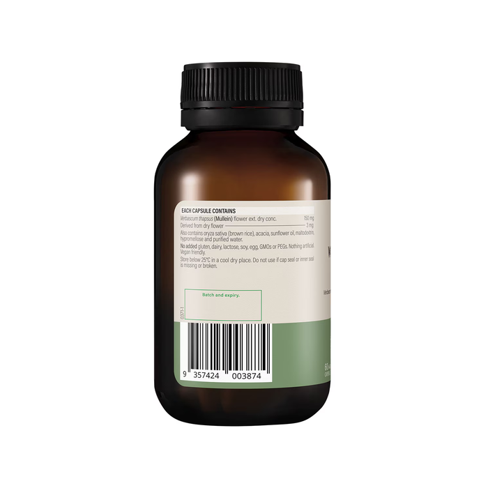 Wanderlust High Strength Mullein 60 Capsules
