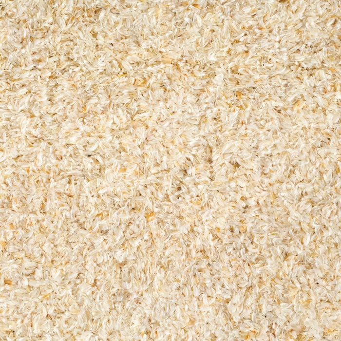 Organic psyllium husks close-up